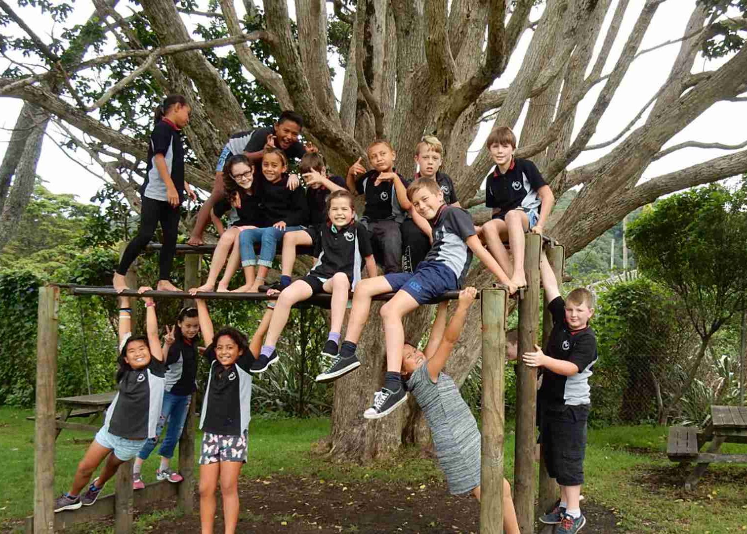 Whangarei Primary School Study Northland International Students