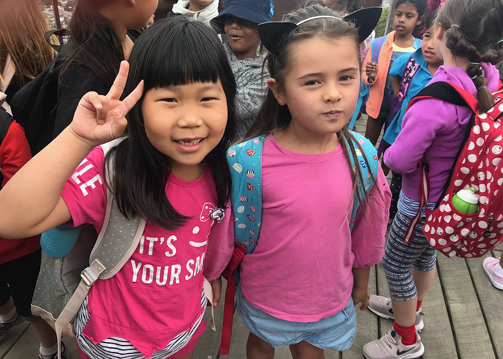 Whangarei Primary School Study Northland International Students Northland New Zealand